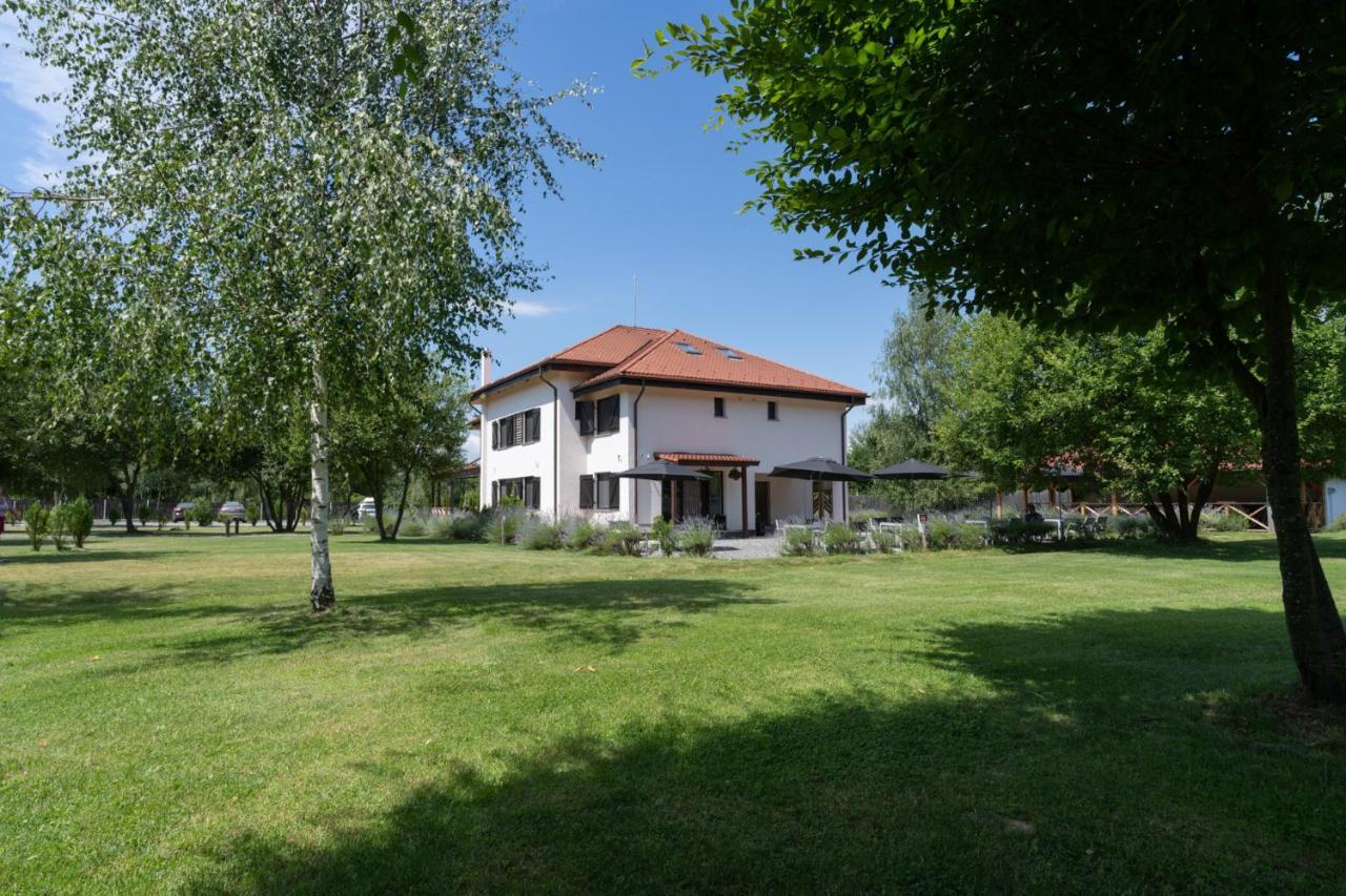Pensiunea Negoiu Felsőporumbák Kültér fotó