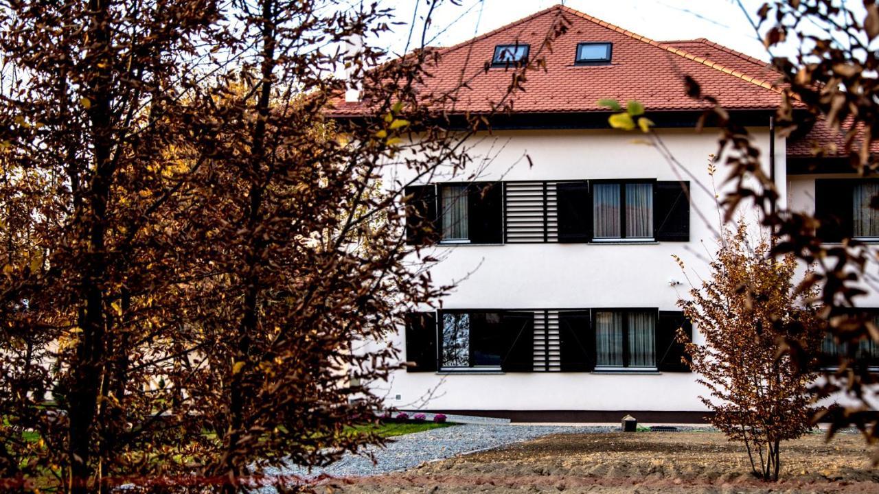 Pensiunea Negoiu Felsőporumbák Kültér fotó
